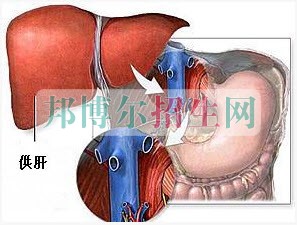 成都麻醉學(xué)大專(zhuān)有哪些