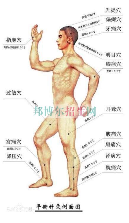 成都針灸推拿多少錢