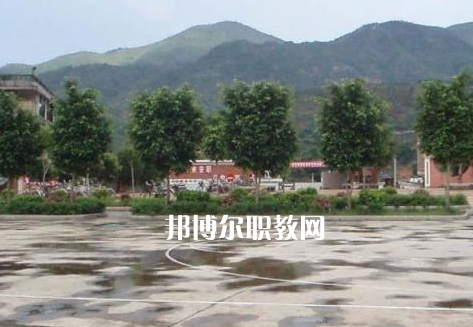 福建2023年中專學(xué)校怎么樣報(bào)名